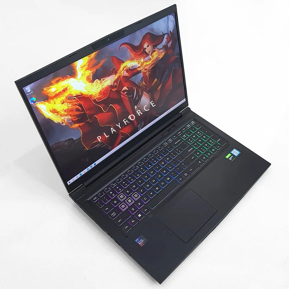 Apex 17R Lite (i7-9750H, GTX 1660TI, 16GB, 512GB SSD, 17-inch)