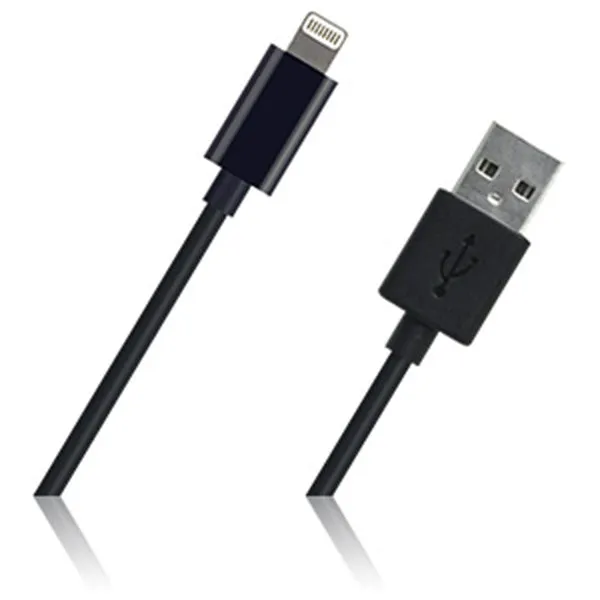 Apple Lightning to USB cable