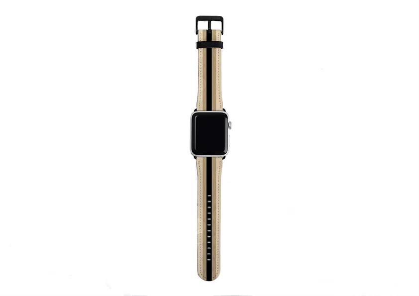 Apple Watch Strap- Seoul Chroma Horizontal Stripe