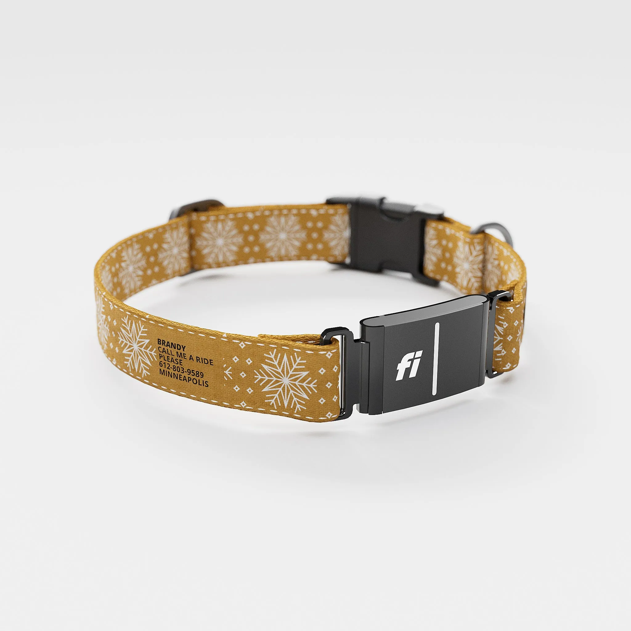 Fi GPS Included Holiday Gold Flake Everyday Collar (6 month subscription)