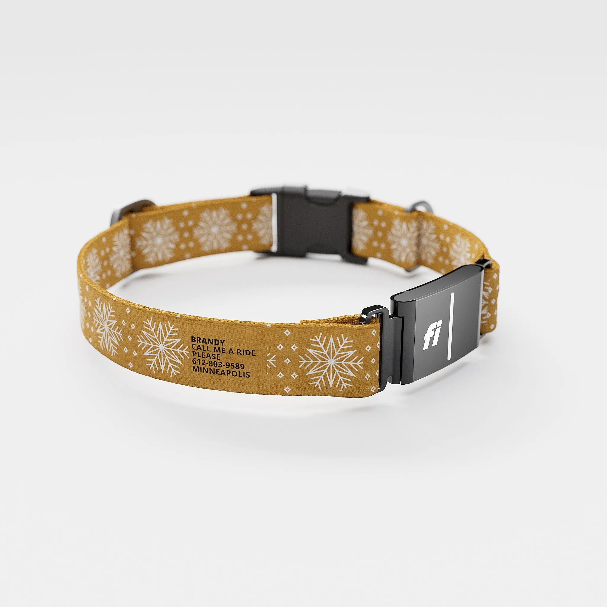 Fi GPS Included Holiday Gold Flake Everyday Collar (6 month subscription)