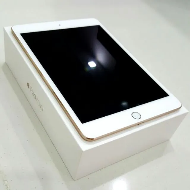 iPad Mini 4th Gen 16GB