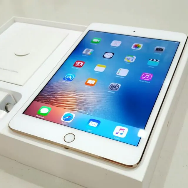 iPad Mini 4th Gen 16GB