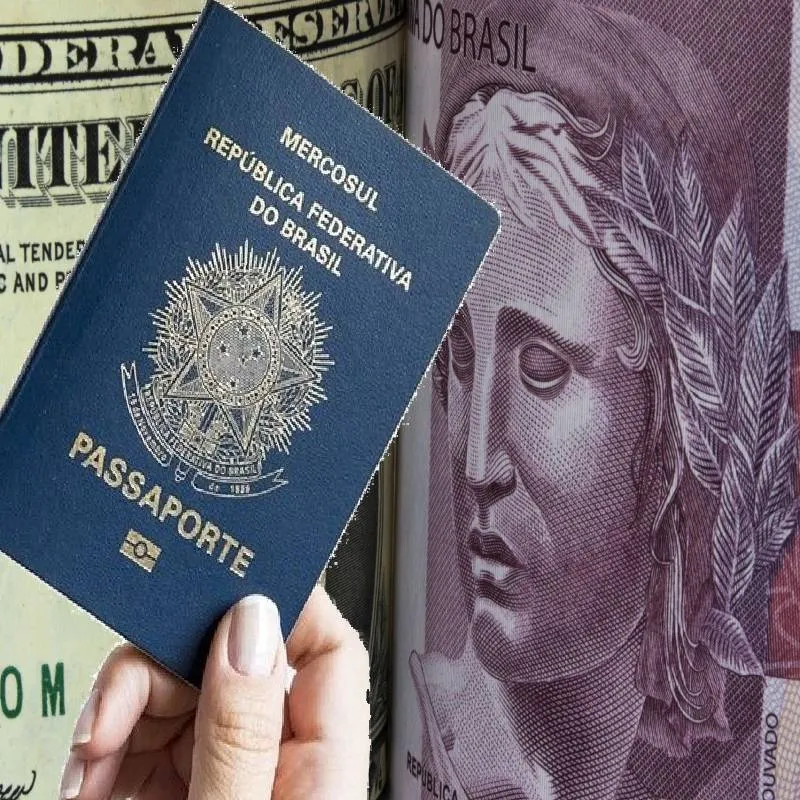 Vemingo Capa Para Passaporte